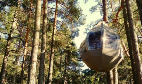 Feeling cone in Jūrmala